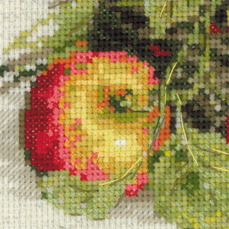 Riolis Ripe Apples Counted Cross Stitch Kit-11.75x11.75 10 Count - Image 3